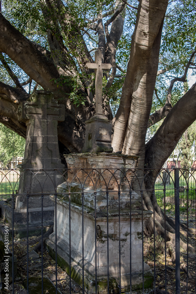 Tumbas del cementerio de Belén en dia de muertos en Guadalajara Jalisco