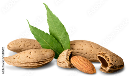 Almond nuts isolated almonds food seeds kernels snack