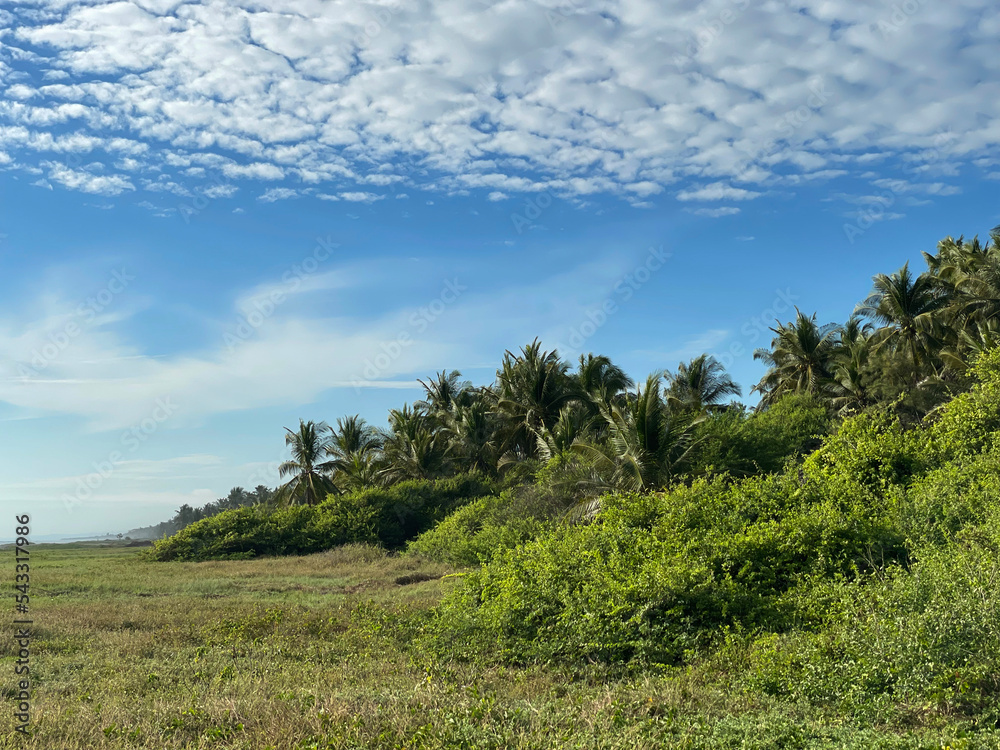 Beach landscape in El Salvador