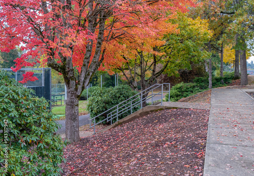 Public park ammenities and nature Gresham Oregon. photo