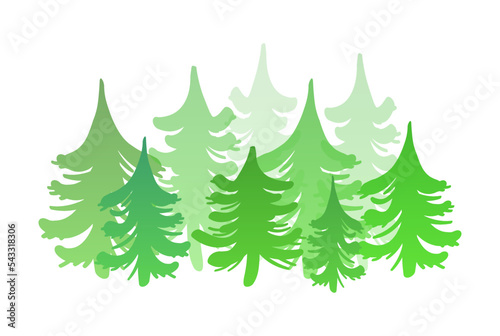 Silhouettes of spruce and pine. Vector image of coniferous trees isolated on white background. © Anna