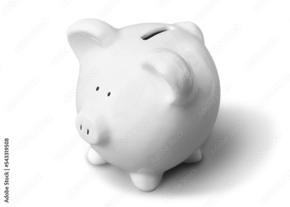 Piggy Bank Piggy Bank