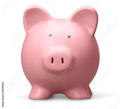 Piggy Bank photo