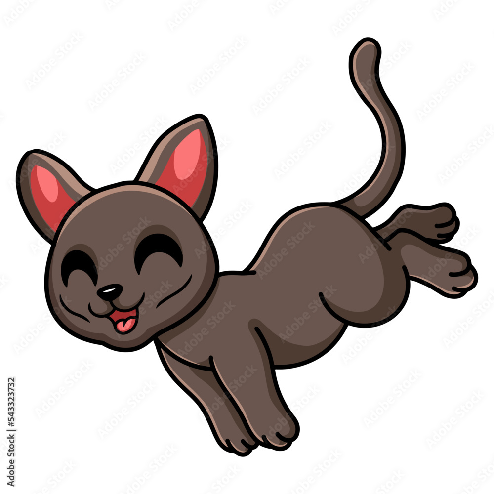 Cute korat cat cartoon jumping