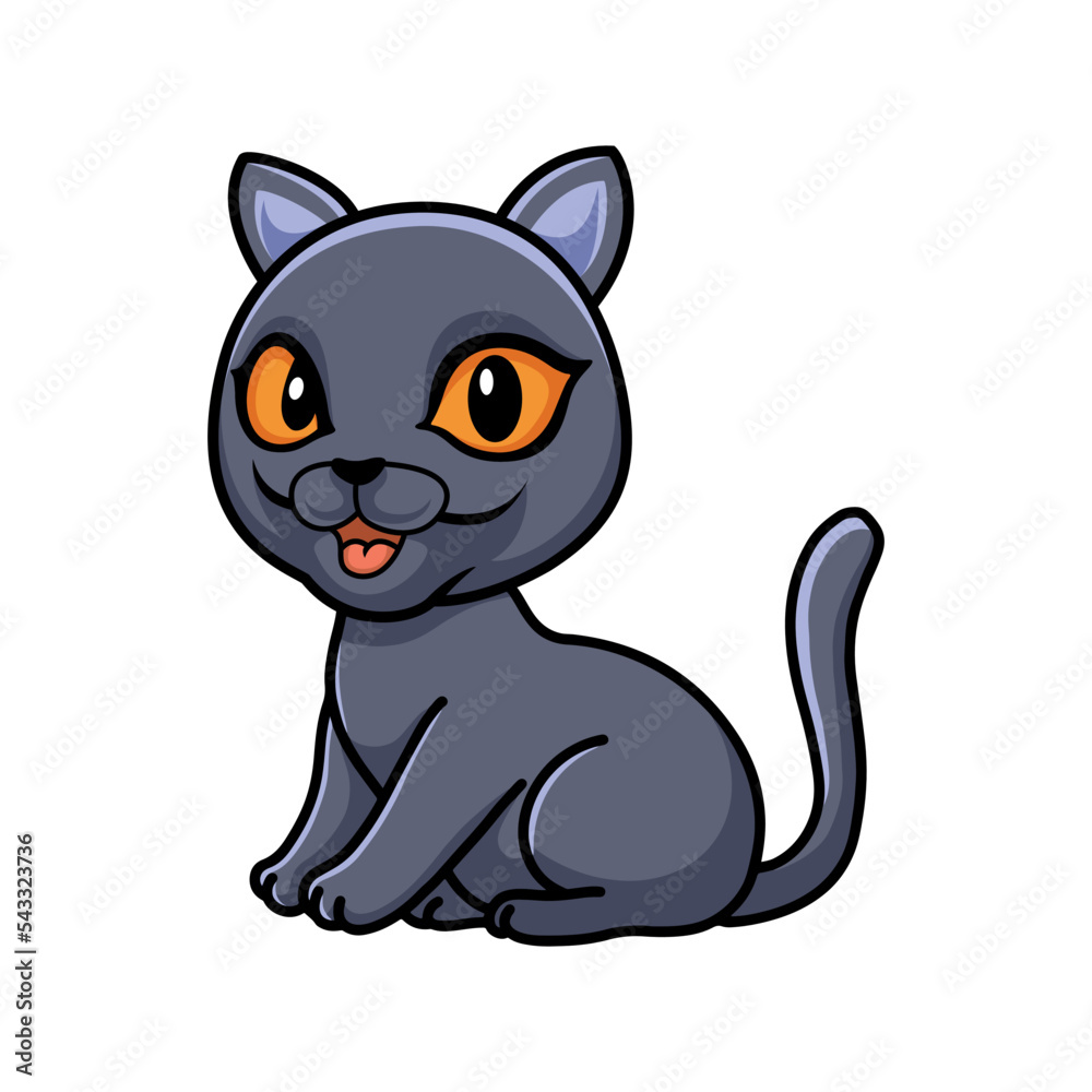 Cute british shorthair cat cartoon sitting