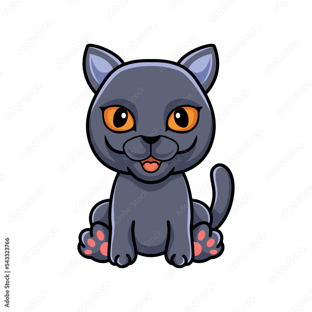 Cute british shorthair cat cartoon sitting Cute british shorthair cat cartoon sitting