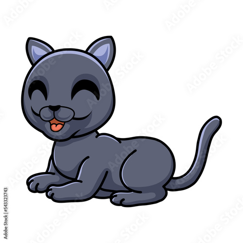 Cute british shorthair cat cartoon sitting