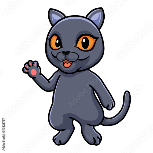 Cute british shorthair cat cartoon waving hand