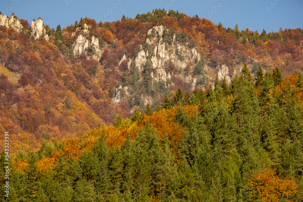 fall colors in the mountains
