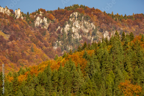 fall colors in the mountains