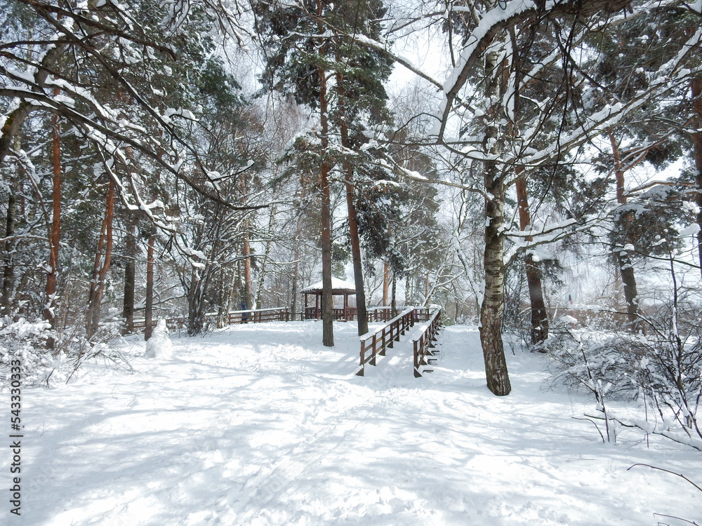 gazebo in snowy winter sunny pine forest gazebo in snowy winter sunny pine forest