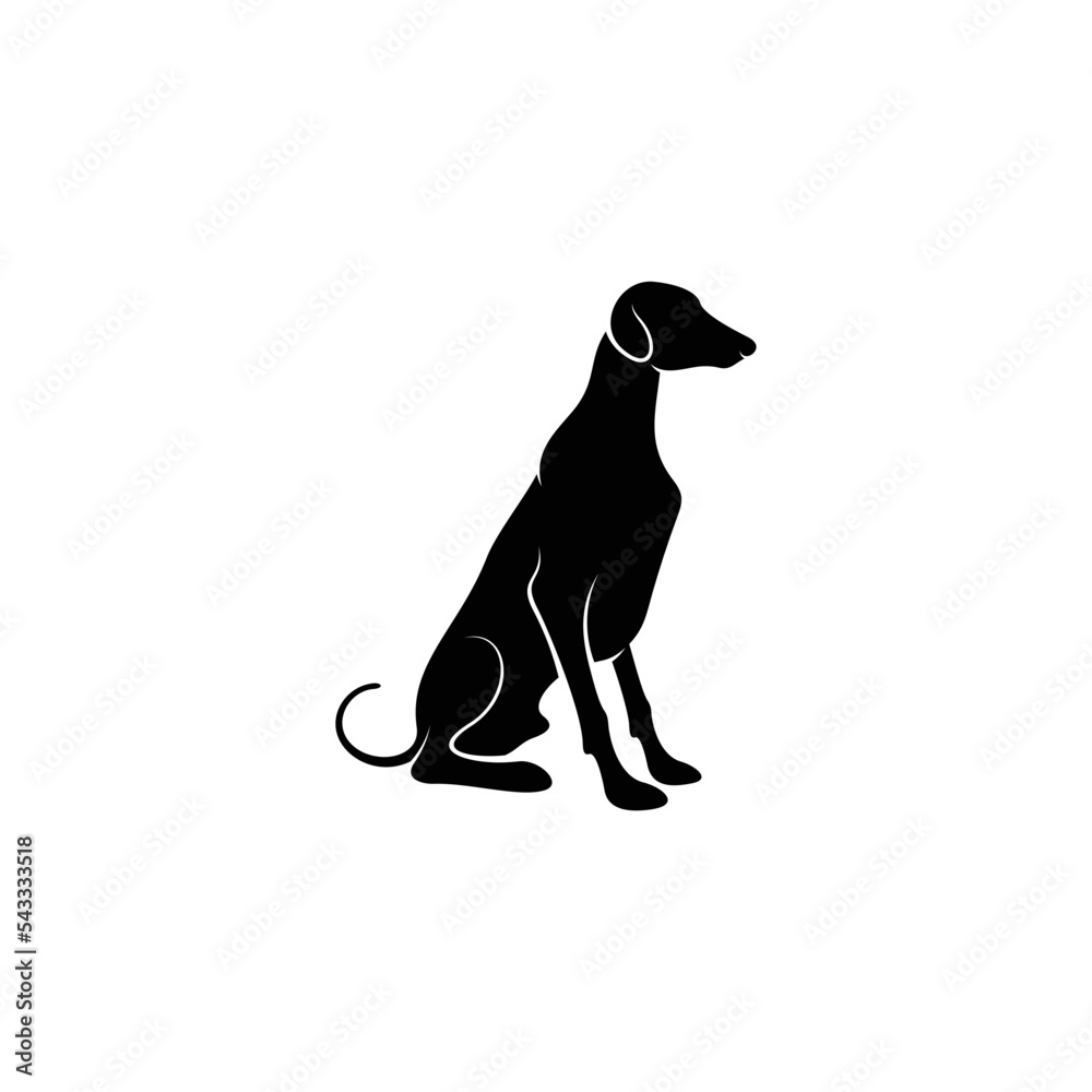 Silhouette Azawakh dog vector illustration design. Silhouette dog