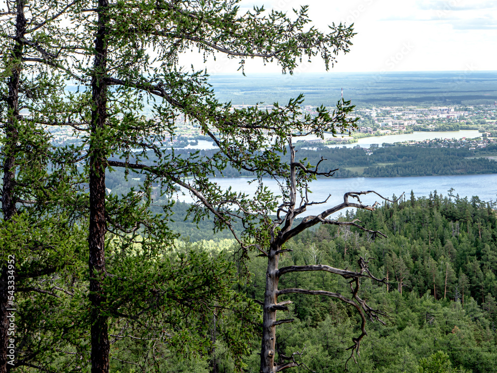 Obraz premium beautiful view of the wooded Ural mountains