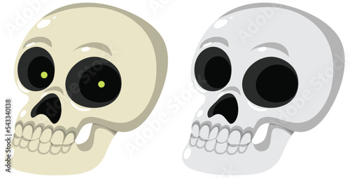 Set of human skull on white background