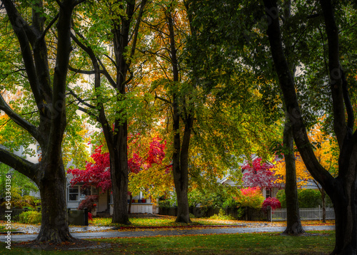 Fototapeta Naklejka Na Ścianę i Meble -  Coeur d'Alene Idaho Fall - color through the park trees