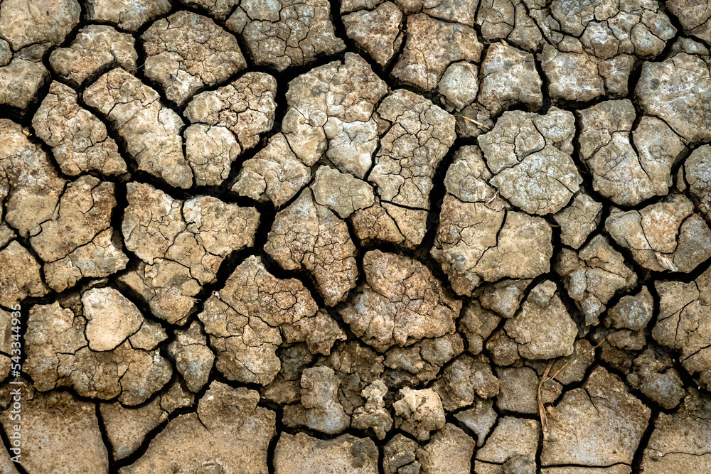 Dry soil surface with deep cracks textured background. Dried and cracked soil. Climate change. Desertification. Cracked earth, Texture of grungy Dry cracking parched earth. Global warming effect. Dry soil surface with deep cracks textured background. Dried and cracked soil. Climate change. Desertification. Cracked earth, Texture of grungy Dry cracking parched earth. Global warming effect.