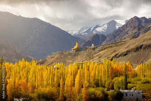 Autumn landscape at Stok village, Leh, Ladakh, India with yellow pine trees, buddha statue and mountain.