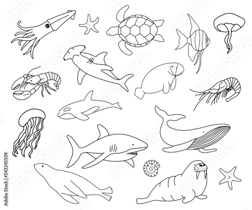 Vector swimming turtle, shark, whale and sea fish isolated on white background. Hand drawn outline doodle illustration ocean or underwater animal for coloring book