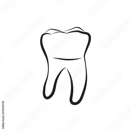 White teeth vector isolated. Healthy molar teeth, dental icon.