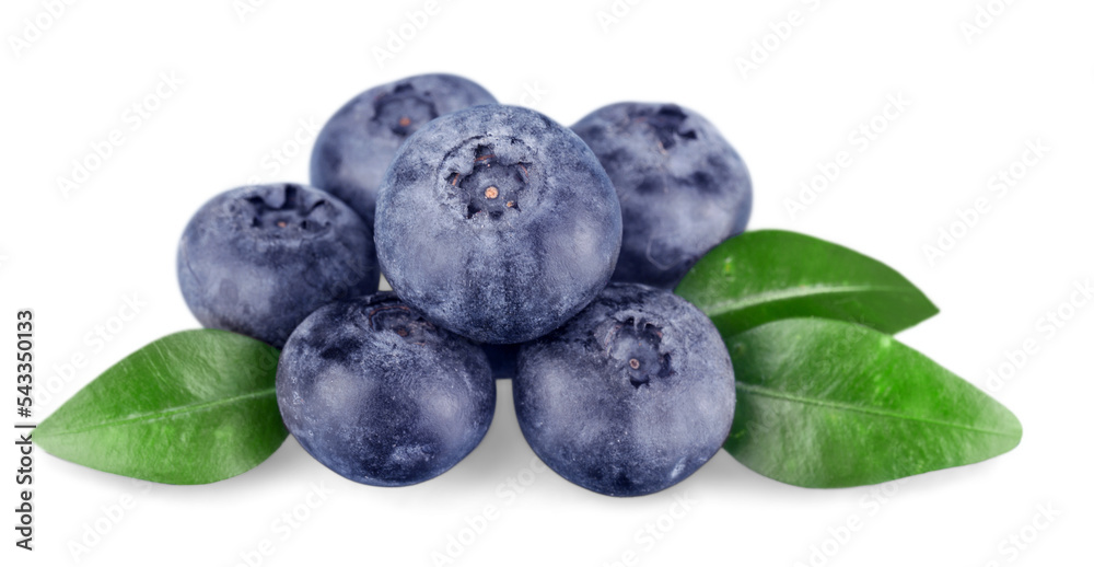Fototapeta premium Natural fresh sweet blueberry with leaf