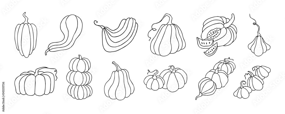 Autumn design template, hand drawn pumpkins, flat vector illustration Autumn design template, hand drawn pumpkins, flat vector illustration