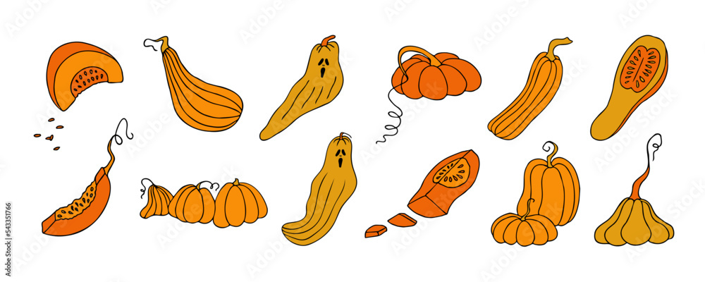 Autumn design template, hand drawn pumpkins, flat vector illustration Autumn design template, hand drawn pumpkins, flat vector illustration