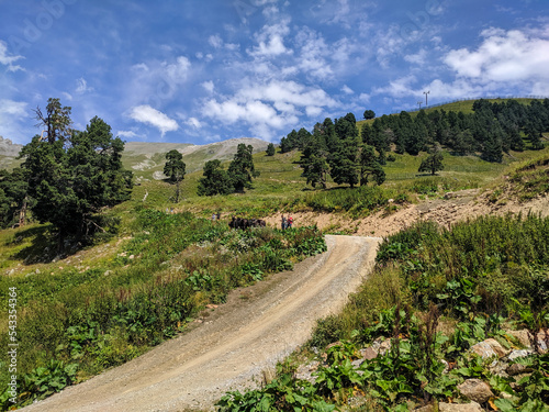 Arkhyz, Karachay-Cherkessia, Russia - August 21, 2022: View of the Caucasian mountains in the resort area of Arkhyz. People are going to ride horses along the road