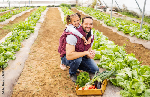 Child, father or farmer farming vegetables in a natural garden or agriculture environment for a healthy diet. Smile, dad and happy girl love gardening and planting organic food for sustainability