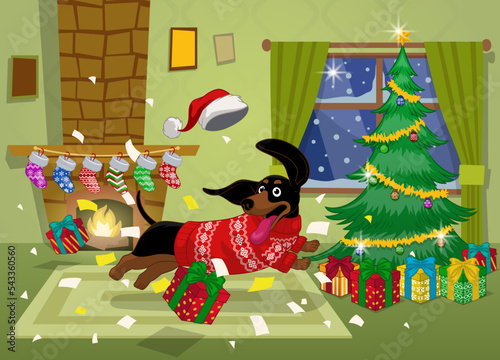 Cheerful Dachshund dog celebrating christmas in living room