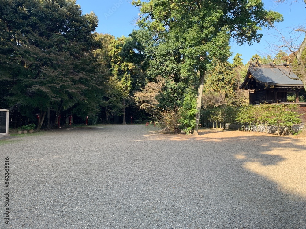 鷲宮神社の境内の景色