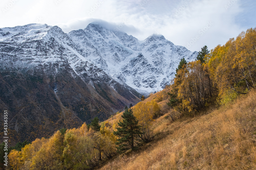 Beautiful mountain landscape with an autumn forest on slope and snow-covered rocky peaks in background. Selective focus.