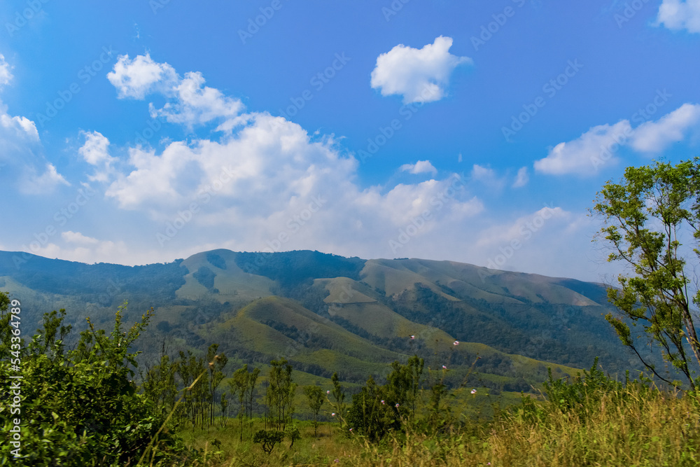 Beautiful hills of Chikmagalur ,Karnataka, India.