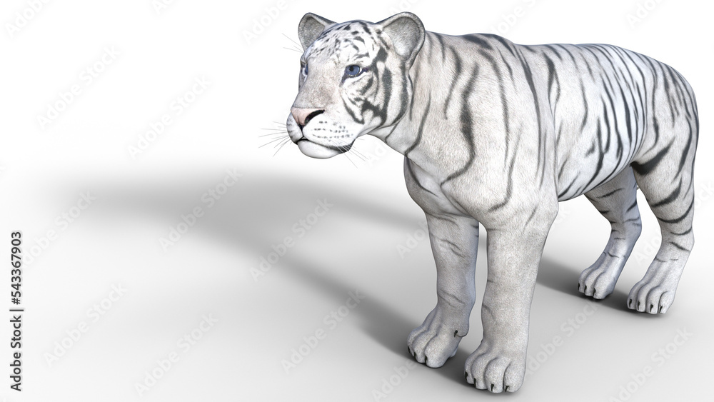 Fototapeta premium 3D white tiger