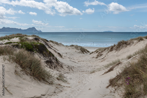 Path through the sand dunes to Uretiti Beach at Bream Bay, Whangarei District, Northland, New Zealand. photo