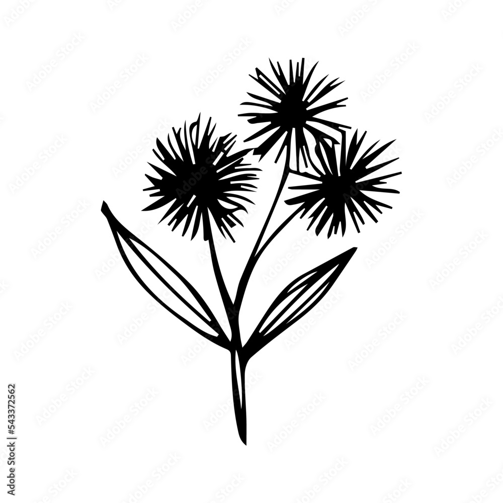 custom made wallpaper toronto digitalhand drawn botanical flower doodle element for floral design concept