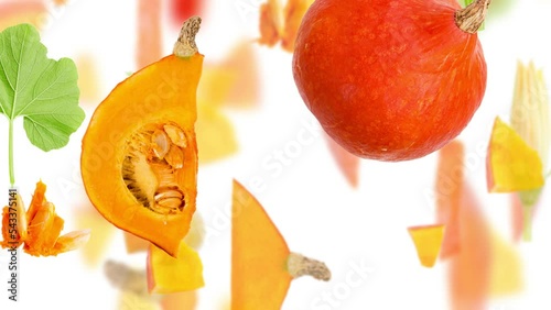Pumpkin vegetable pieces, slices and leaves falling down isolated on white. Seamless looping. High quality 4k video.