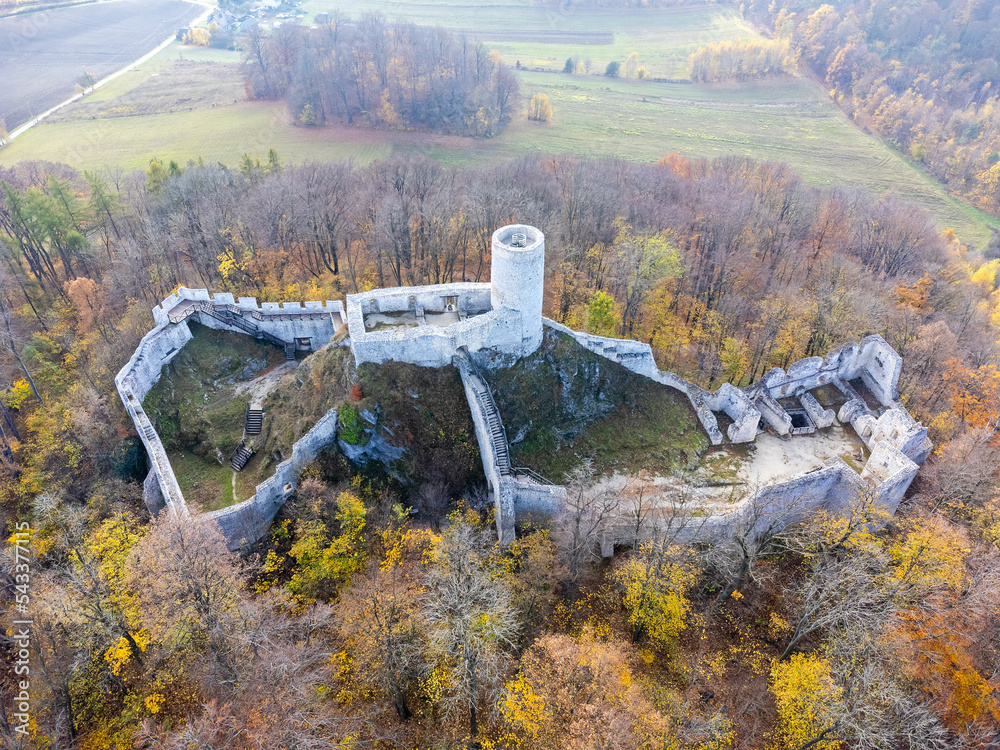 The castle as seen from above. Bird's eye view, drone photo. Building, ruins, forest, autumn.
