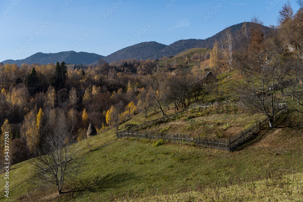 autumn in the mountains,  Magura Village, Brasov, Romania 