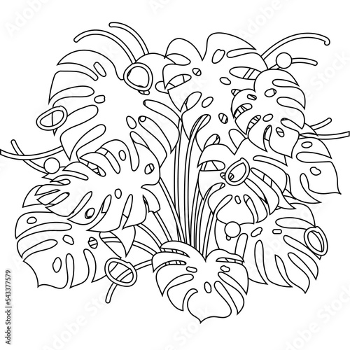 Continuous one line drawing of Tropical monstera leaves silhouette. Home wall decor, poster, tote bag, fabric print. Single line draw design graphic vector illustration