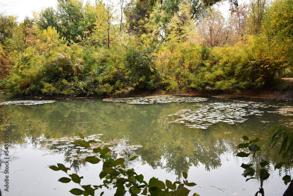 Lake in autumn Lake in autumn