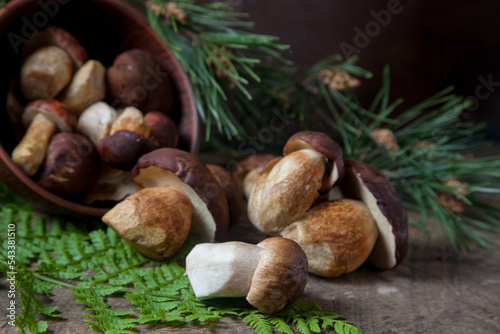 Imleria Badia or Boletus badius mushrooms commonly known as the bay bolete and Porcini mushroom commonly known as Boletus Edulis, clay bowl with mushrooms on vintage wooden background..