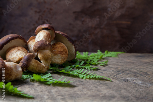 Imleria Badia or Boletus badius mushrooms commonly known as the bay bolete on vintage wooden background..