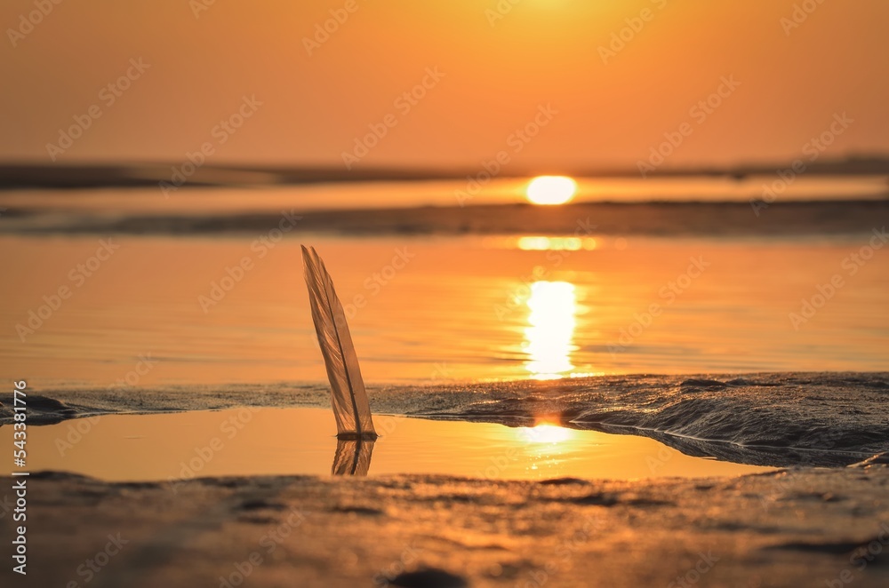 Beautiful sunrise over the sea. Feather reflecting in the water on a beach in Leba, Poland.