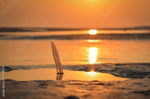 Obraz na płótnie Beautiful sunrise over the sea. Feather reflecting in the water on a beach in Leba, Poland. w salonie