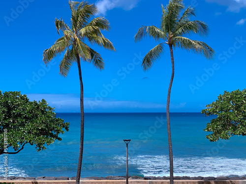 Fototapeta Naklejka Na Ścianę i Meble -  Two high palm trees on the beach in Hawaii