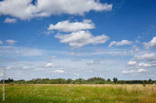 Beautiful summer rural landscape. Meadow with trees and grass against the clouds sky
