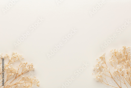 Beautiful flower background of pastel gypsophila flowers. Flat lay, top view.