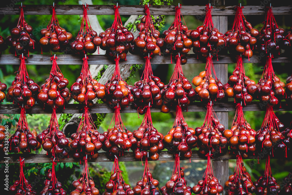 Fukuoka - red beads in the city park