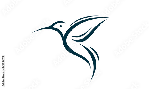 illustration of a humming bird