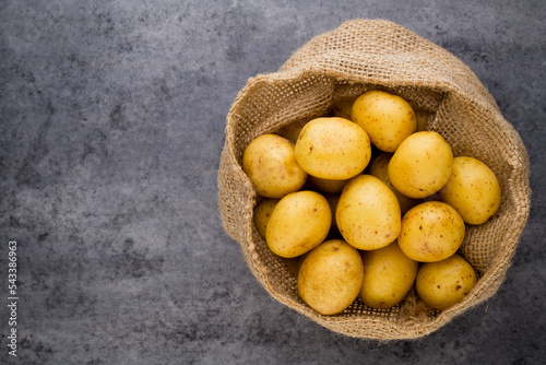 A bio russet potato wooden vintage background.